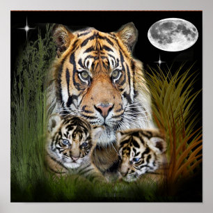 Poster Cartaz de arte de tigre