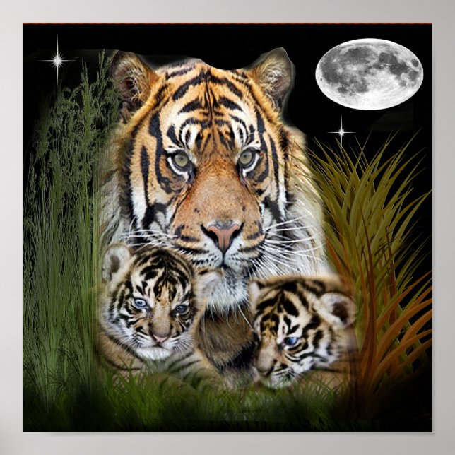 Poster Cartaz de arte de tigre (Frente)
