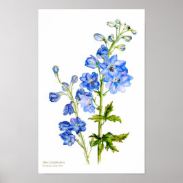 Poster cartaz de arte fina botânica de delfínio azul