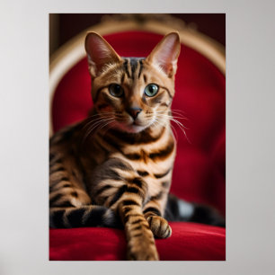 Poster Cartaz de Arte Fina de Gato Bengal — Vermelho Rega
