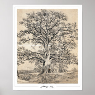 Poster Cartaz de Arte John Constable Zedign #545-2
