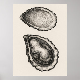 Poster Cartaz de Arte Minimalista de Concha de Ostra Cost