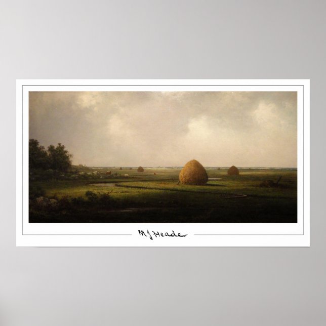 Poster Cartaz de Arte Zedign de Martin Johnson Heade #159 (Frente)