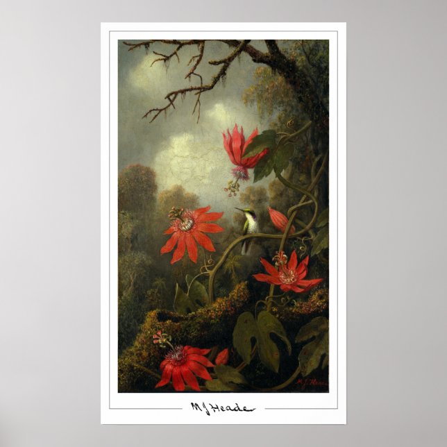 Poster Cartaz de Arte Zedign de Martin Johnson Heade #36 (Frente)