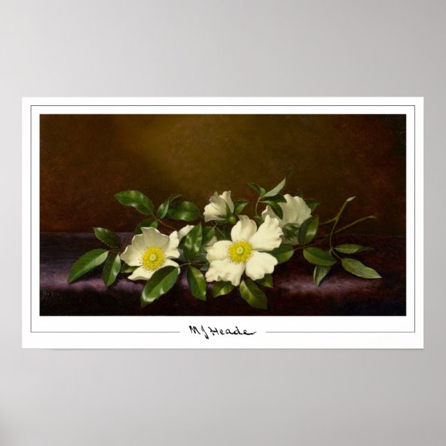 Poster Cartaz de Arte Zedign de Martin Johnson Heade #52 (Frente)