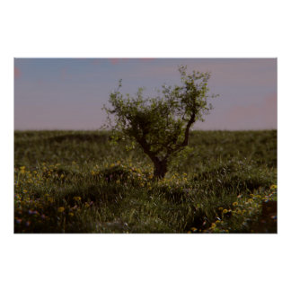 Póster Cartaz de Árvore Solitária