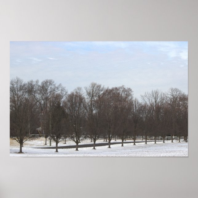 Poster Cartaz de Árvores na Neve (Frente)