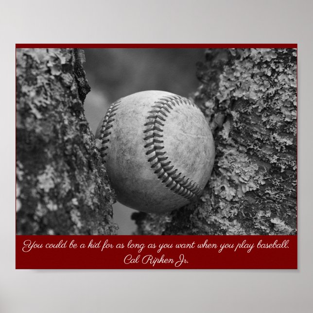Poster Cartaz de Beisebol Cal Ripken (Frente)