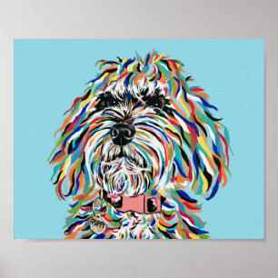 Poster Cartaz de Bernedoodle
