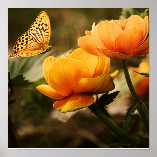 Poster Cartaz de Borboleta em Flores Laranja (Frente)
