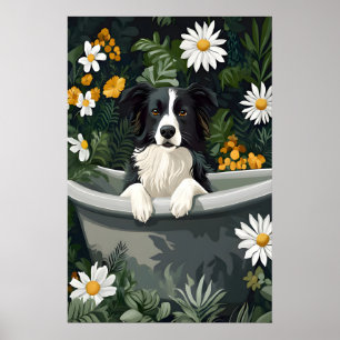 Poster Cartaz de Border Collie na Banheira, Cartaz Divert