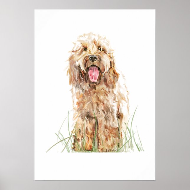 Poster Cartaz de Cachorro Cockapoo, Arte de Parede em Aqu (Frente)