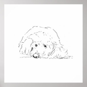 Poster Cartaz de Cachorro Cockapoo, Ideias de Presentes p