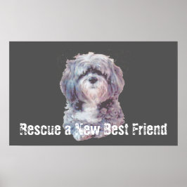 Poster Cartaz de Cão Resgatado