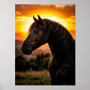 Poster Cartaz de Cavalo Arte Equestre