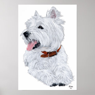 Poster Cartaz de Chef de West Highland White Terrier