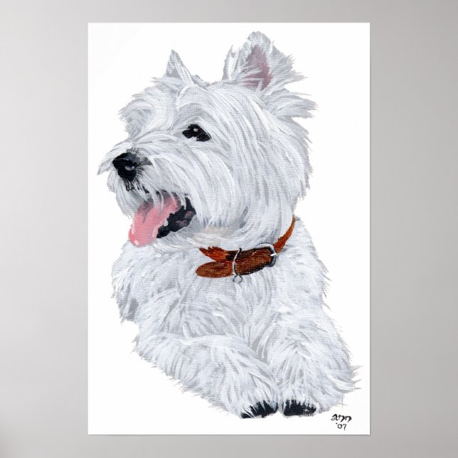 Poster Cartaz de Chef de West Highland White Terrier (Frente)