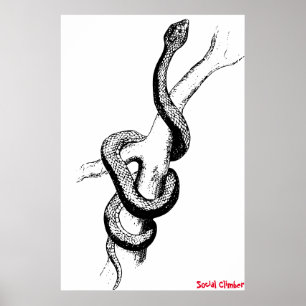 Poster Cartaz de Cobra