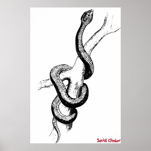 Poster Cartaz de Cobra (Frente)