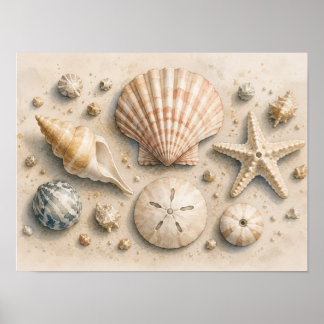 Poster Cartaz de Coleção de Conchas | Costeiro Aquarela