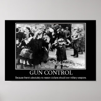 Poster Cartaz de Controle de Armas
