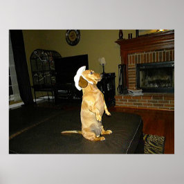 Poster Cartaz de Dachshund Sentado com Elegância