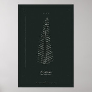 Poster Cartaz de Desenho Botânico de Samambaia, Dark Acad