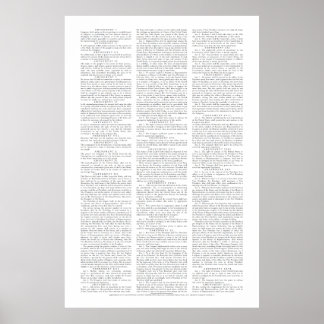 Poster Cartaz de Emendas Constitucionais dos EUA