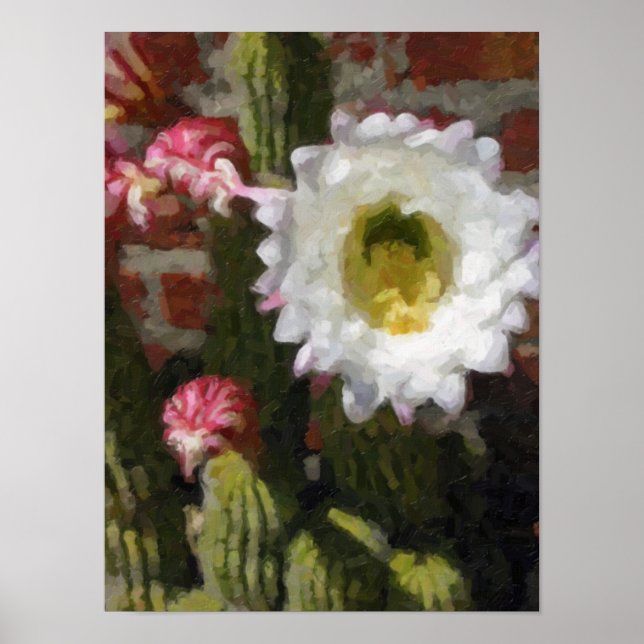 Poster Cartaz de Flor de Cacto (Frente)
