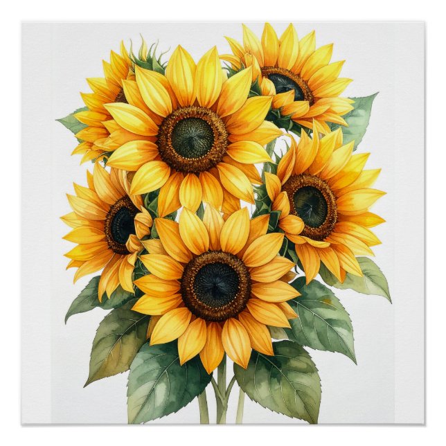 Póster Cartaz de Flor de Girassol Dourada (Frente)