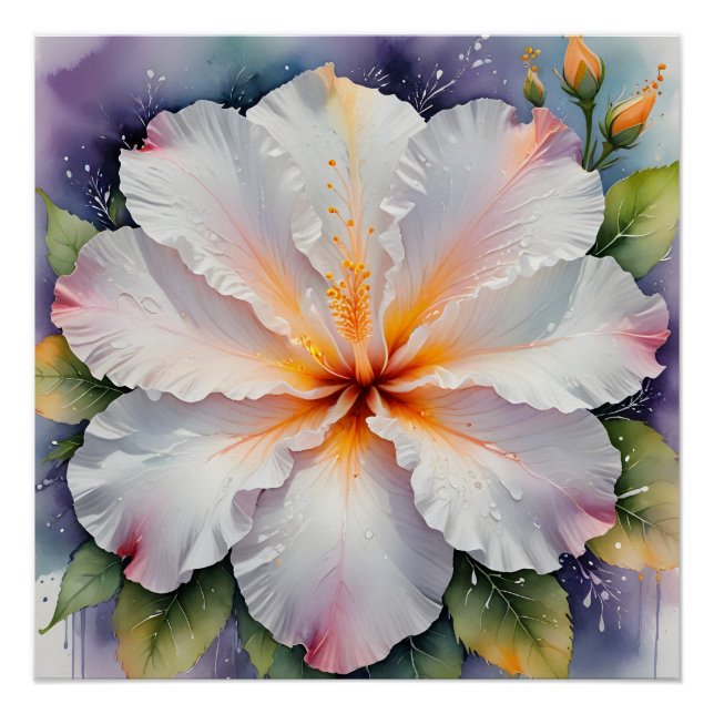 Póster cartaz de flor de hibisco branco (Frente)