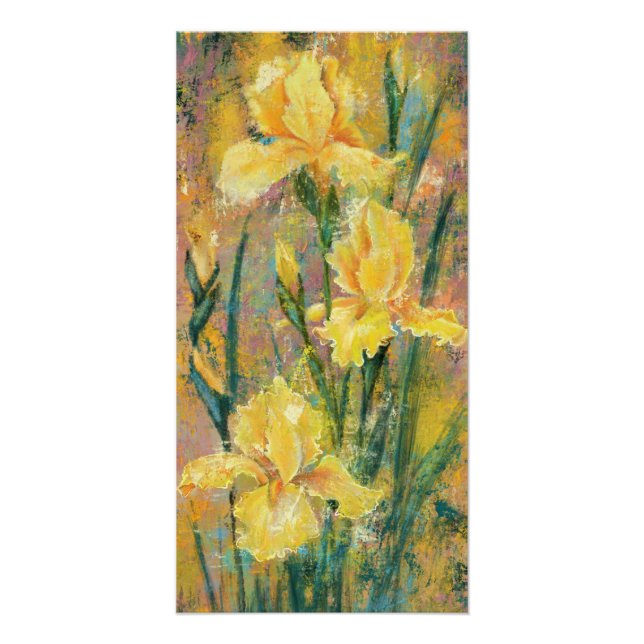 Póster Cartaz de Flores de Íris Amarela (Frente)