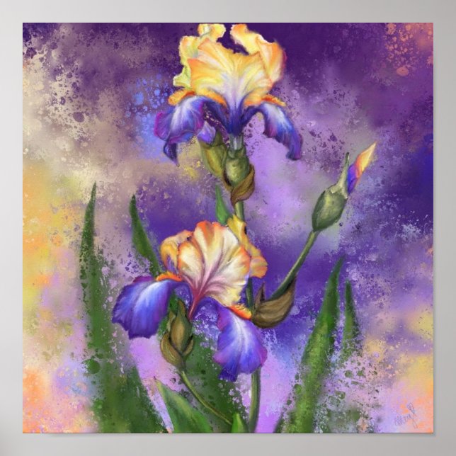 Poster Cartaz de Flores de Íris Pintura Íris (Frente)