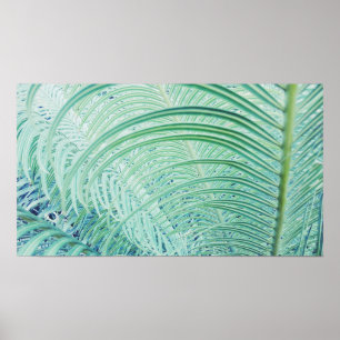 Póster Cartaz de Folhas de Palmeira de Planta Verde Macia