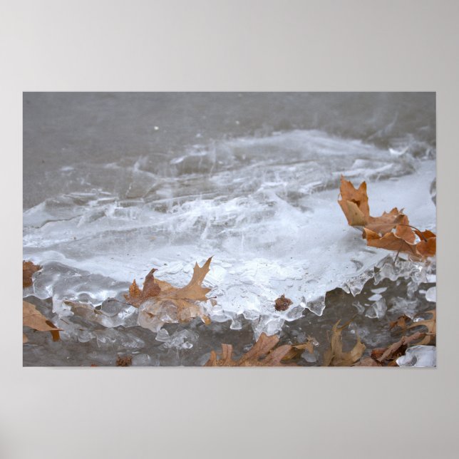 Poster Cartaz de Folhas Presas no Gelo (Frente)