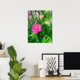Poster Cartaz de Foto de Flor de Peônia Rosa por Cerca de