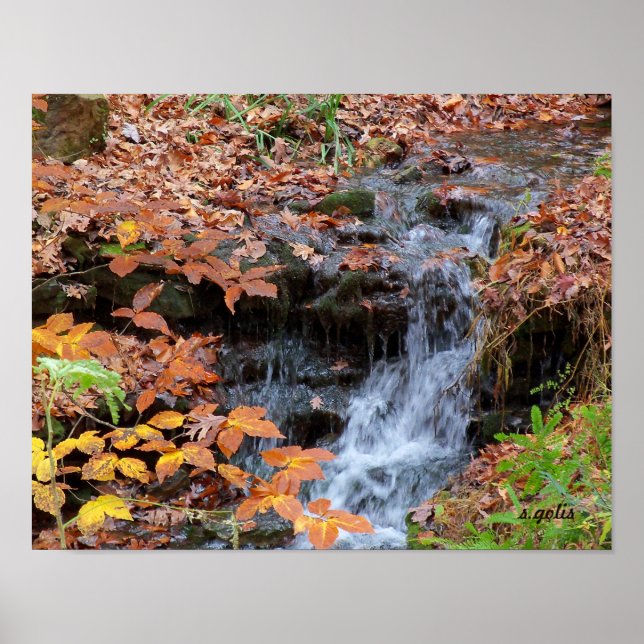 Póster Cartaz de Foto de Folhas de Outono e Cachoeira (Frente)