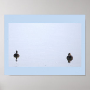 Poster Cartaz de Foto de Patos