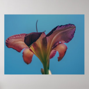 Poster Cartaz de Fotografia de Flor Contra um Céu Azul