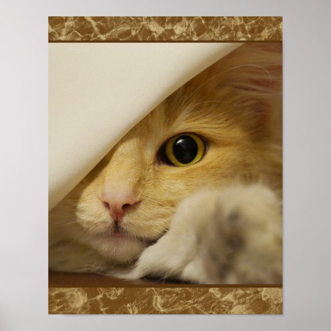 Póster Cartaz de gatinho amarelo fofo (Frente)