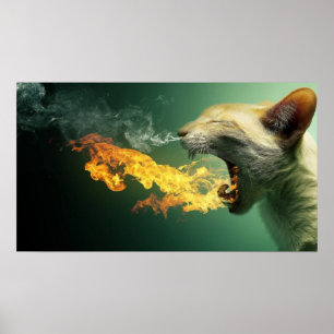 Poster Cartaz de Gato Respirando Fogo