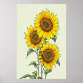 Poster Cartaz de Girassol em Aquarela