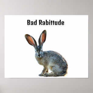 Poster Cartaz de Humor do Coelho com Mau Comportamento