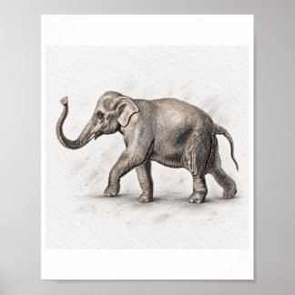 Poster Cartaz de Ilustração da Vida Selvagem de Elefante