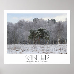 Poster Cartaz de Inverno Lindo!