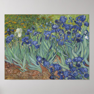 Póster Cartaz de Íris de van Gogh