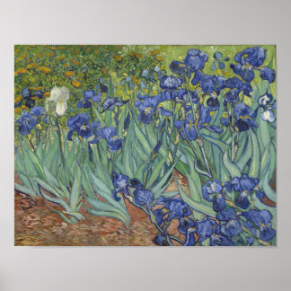 Póster Cartaz de Íris de van Gogh
