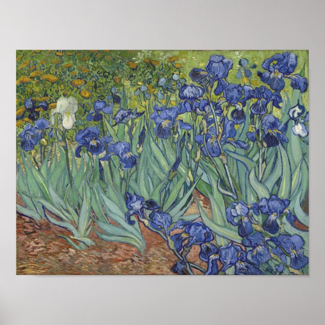 Póster Cartaz de Íris de van Gogh (Frente)