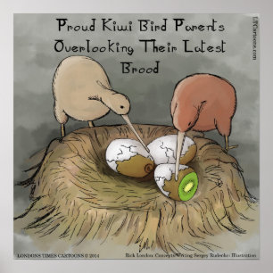 Póster Cartaz de Kiwi Pássaros Engraçados Cuidando de Sua