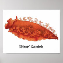 Cartaz de Lesma Marinha 'Slitherin' Succotash'